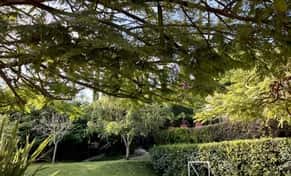 Hotel Mama Chuy Hotel & Villas con day pass