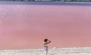 Hotel Las Coloradas -Ruta de la Cosecha Safari Tour con day pass