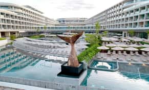Hotel Dreams Bahia Mita Surf & Spa Resort con day pass
