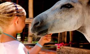 Hotel Rancho Bonanza con day pass