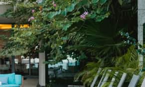 Hotel Hyatt Centric Beach House con day pass