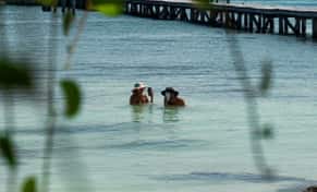 Hotel zzzAreia Beach Club Isla Mujeres con day pass
