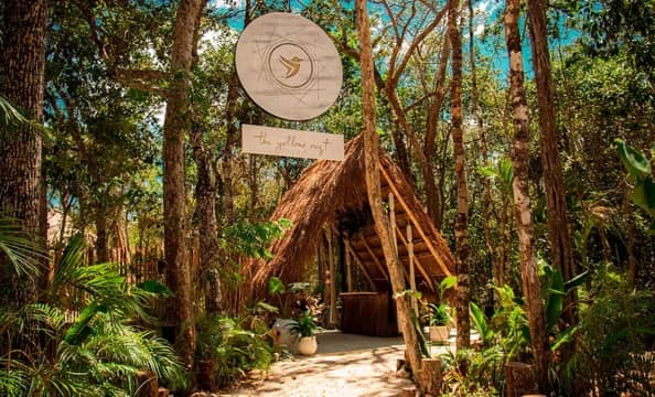 Hotel The Yellow Nest con day pass
