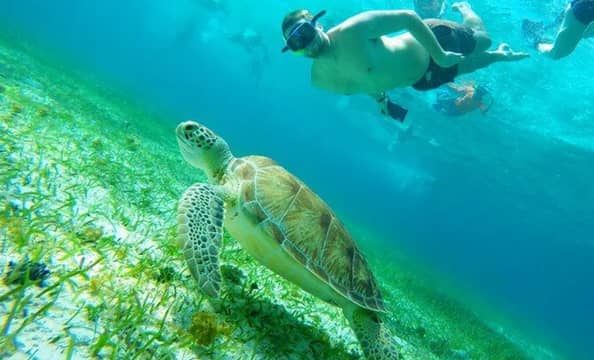 Hotel Beach Break Experiences con day pass