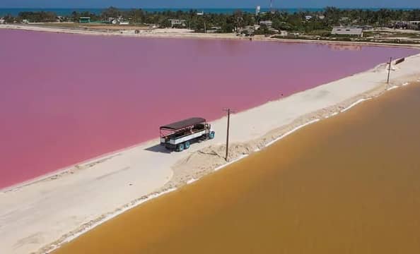 Hotel Las Coloradas -Ruta de la Cosecha Safari Tour con day pass