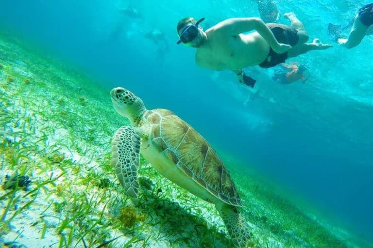 Hotel Beach Break Experiences con day pass