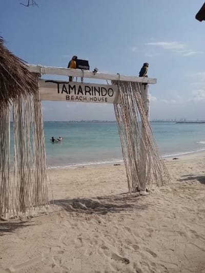 Hotel Tamarindo Beach House con day pass