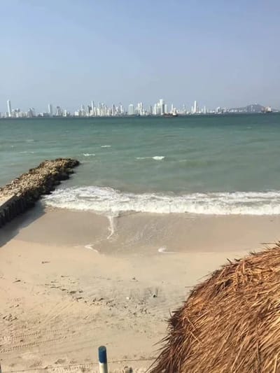 Hotel Margaritas Beach Club con day pass