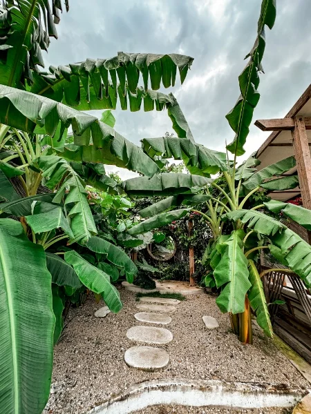 Hotel Vista Mare Beach House con day pass