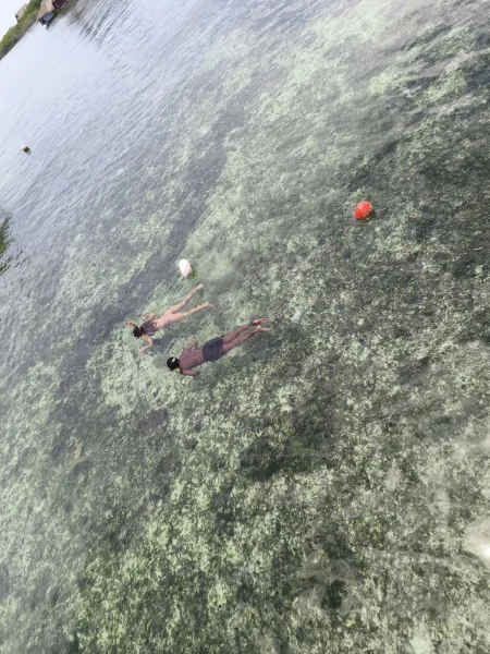 Hotel Casita Acuarimantima con day pass