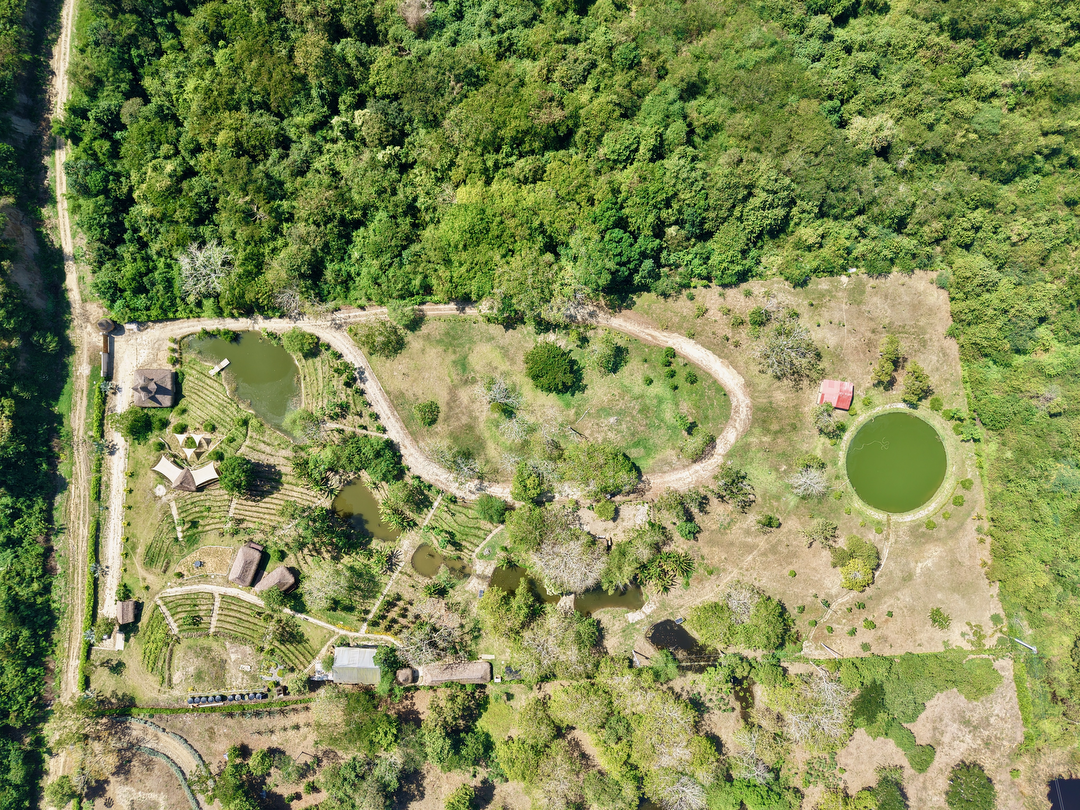 Hotel Hacienda San Benito con day pass