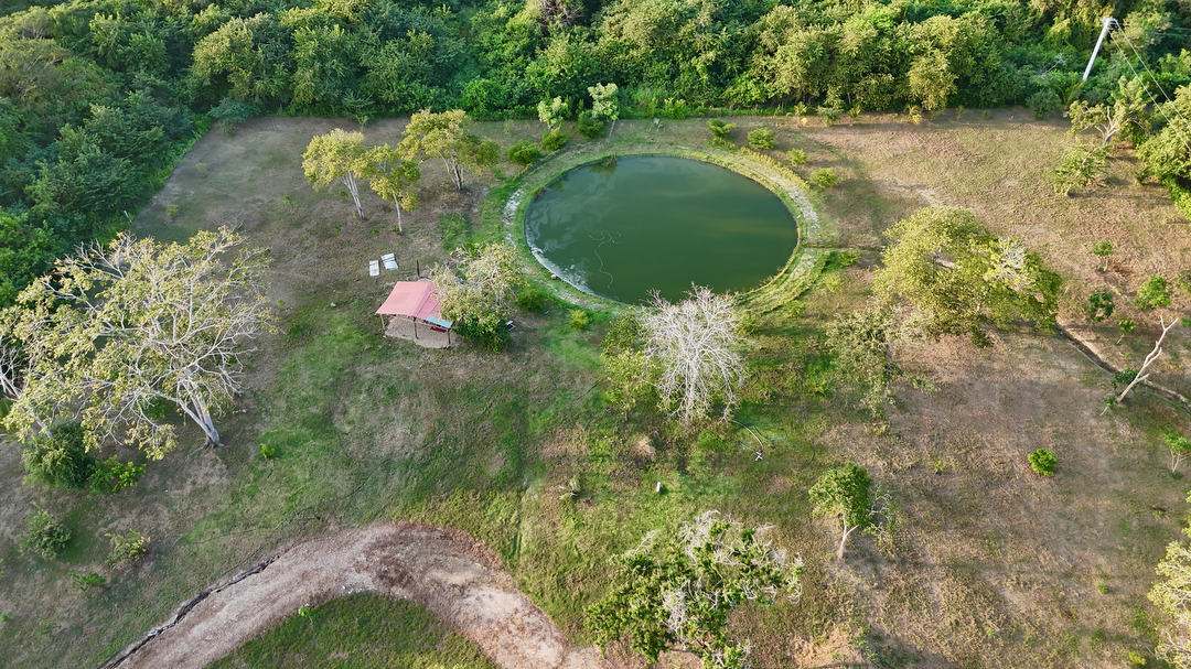 Hotel Hacienda San Benito con day pass