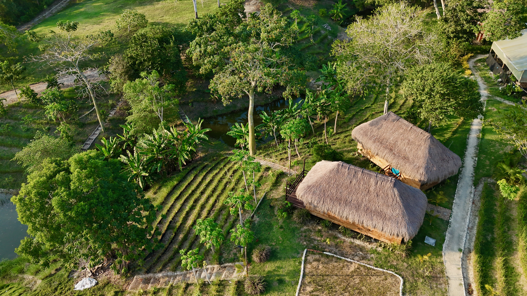 Hotel Hacienda San Benito con day pass