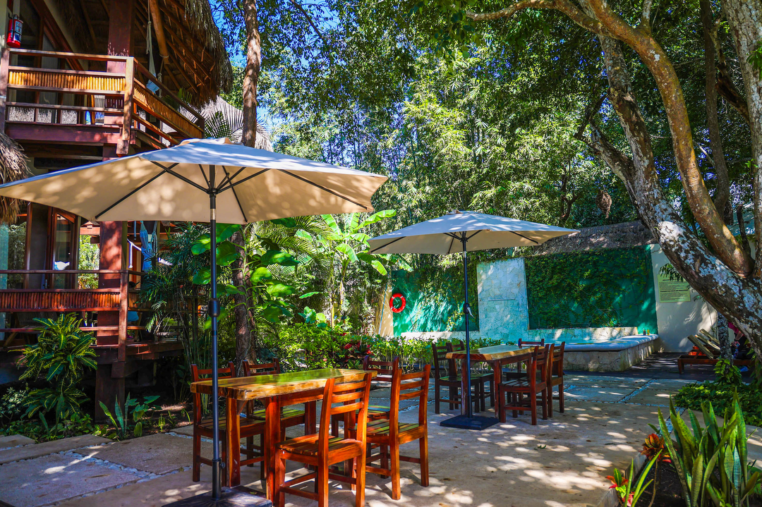 Hotel Hotel Boutique Casa Carolina con day pass