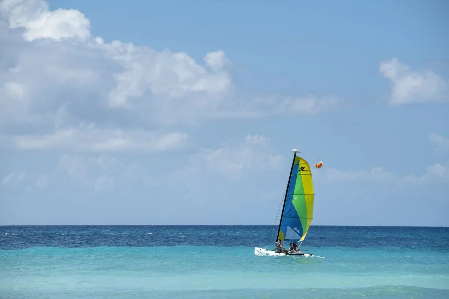 Hotel Viva Dominicus Beach by Wyndham con day pass