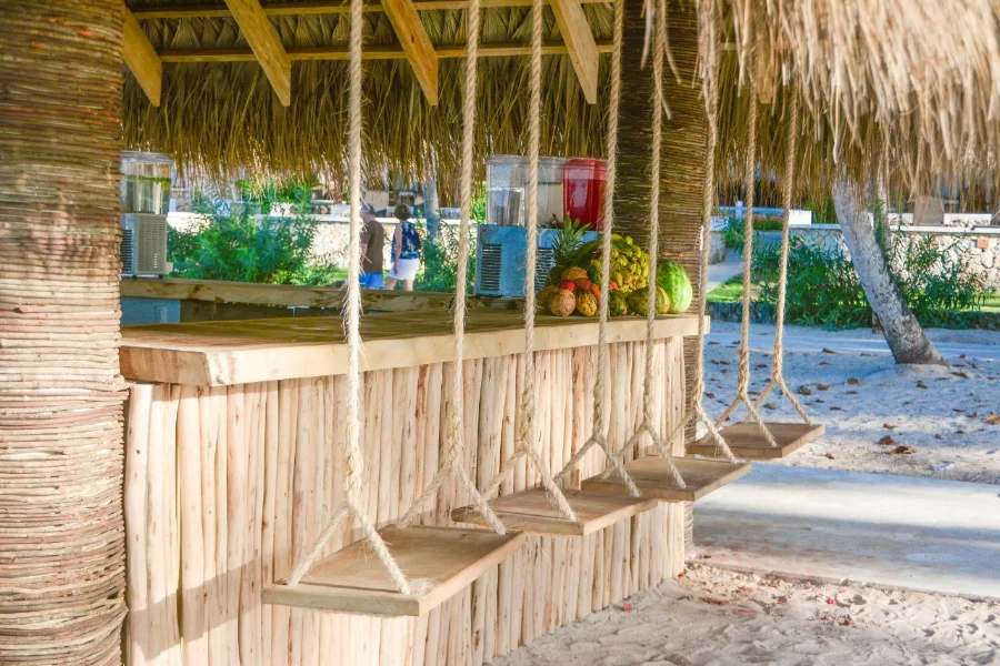 Hotel Viva Dominicus Beach by Wyndham con day pass