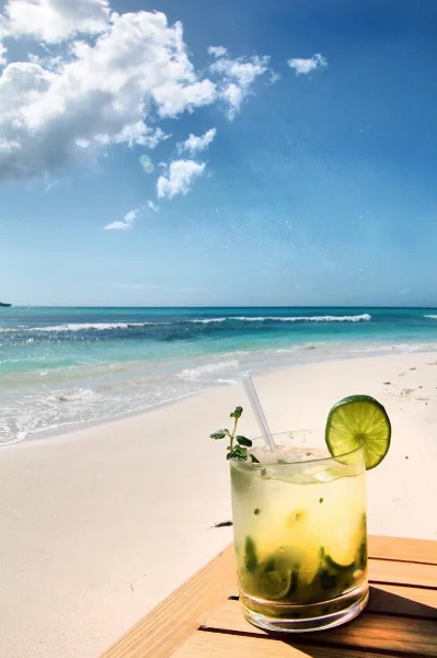 Hotel Saona Beach Club Playa Tao con day pass