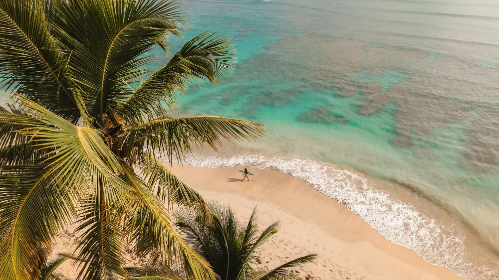 Hotel W Punta Cana, Todo Incluido Solo Adultos con day pass