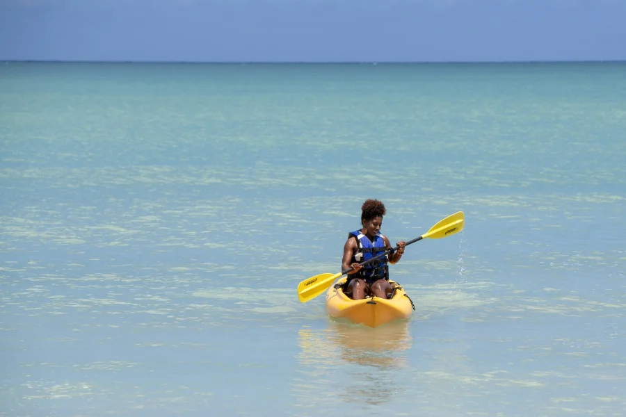 Hotel Viva V Samana by Wyndham con day pass