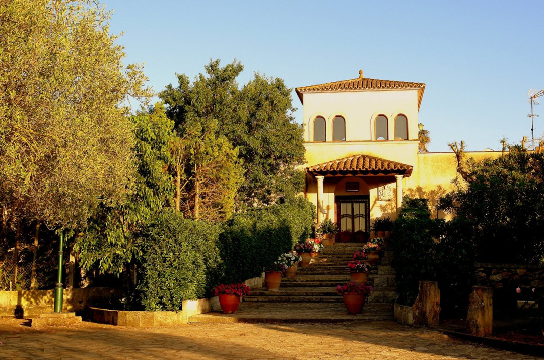 Hotel Aumallia con day pass