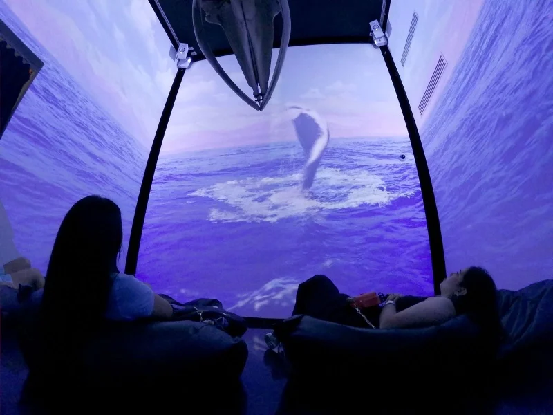 Hotel MUNBA Museo Nacional de la Ballena con day pass