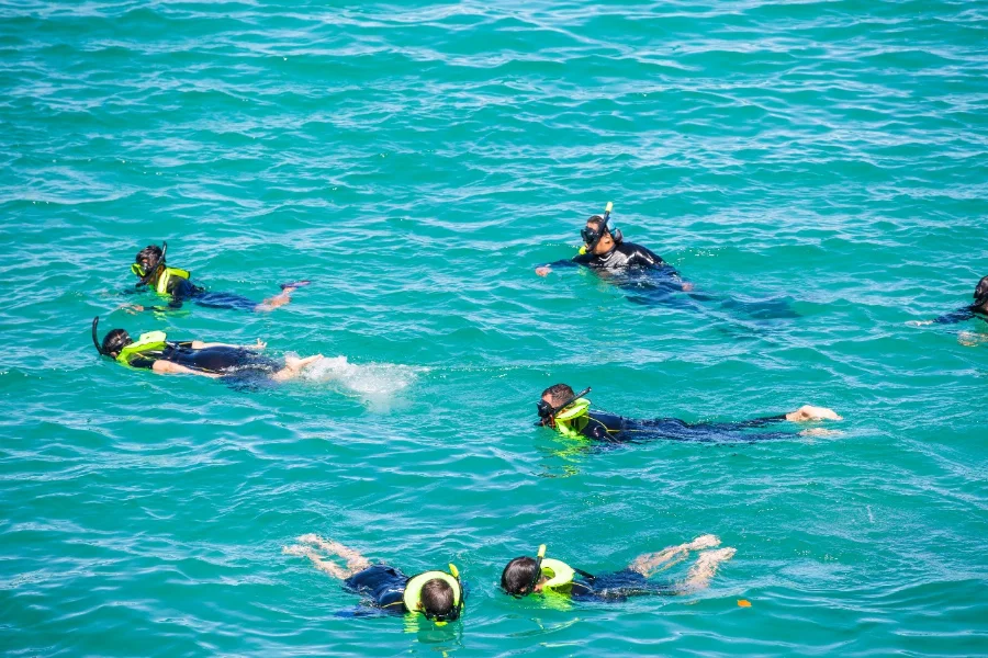 Hotel Tour de corales con day pass