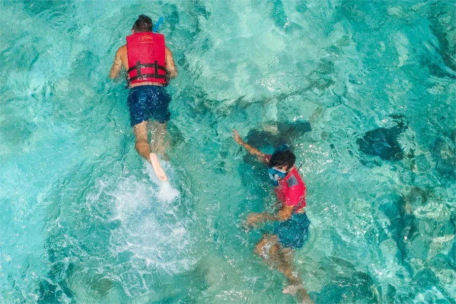 Hotel El Cozumeleño Beach Resort  con day pass