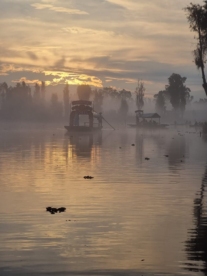 Hotel Amanecer en Xochimilco con day pass