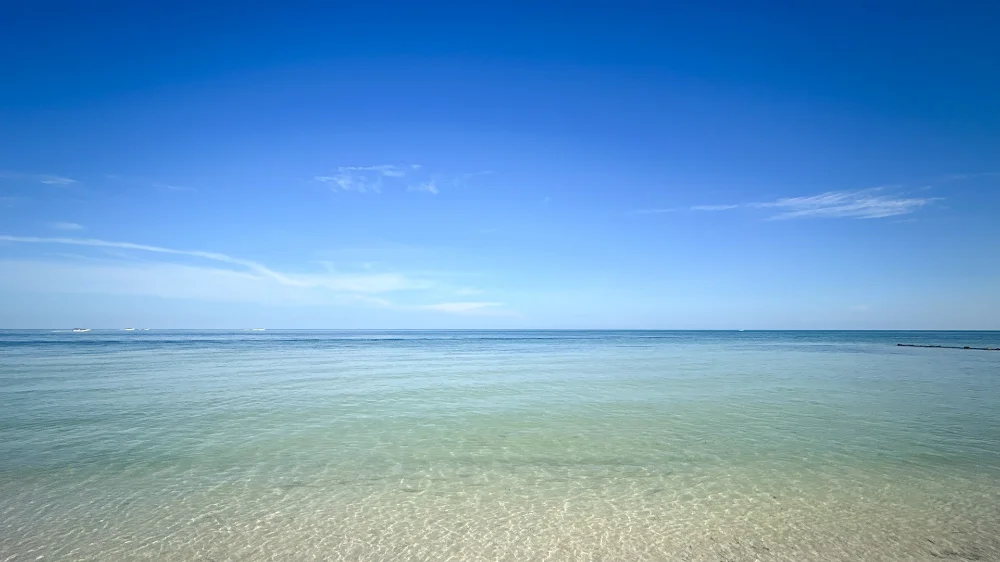 Hotel Ana y José Hotel & Beach Club Holbox con day pass