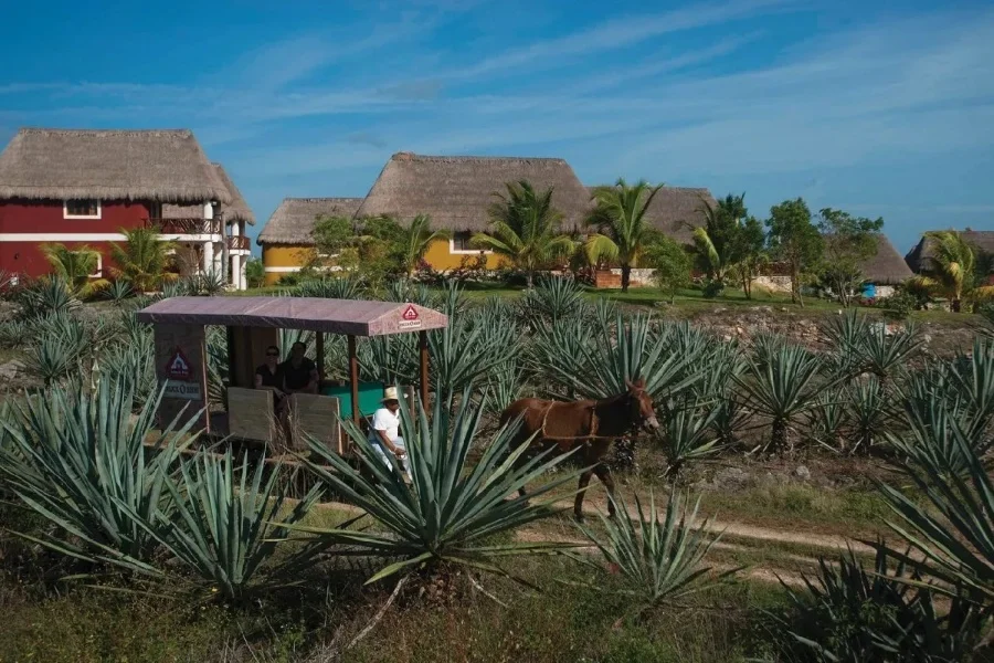 Hotel Tour Privado Sotuta de Peón Hacienda Viva con day pass