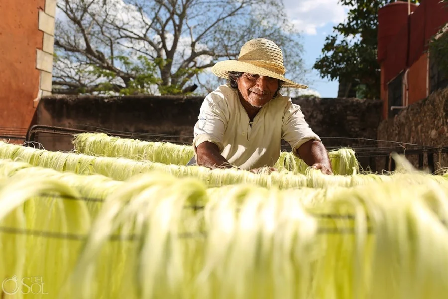Hotel Tour Privado Sotuta de Peón Hacienda Viva con day pass