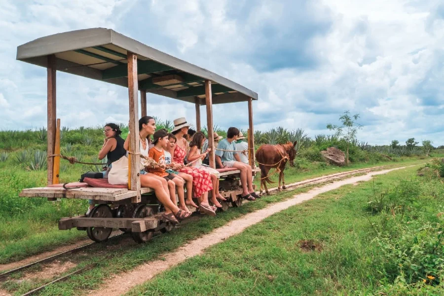 Hotel Tour Privado Sotuta de Peón Hacienda Viva con day pass