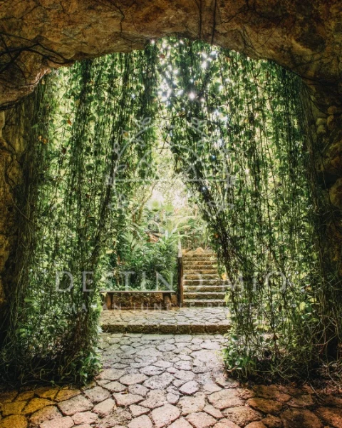 Hotel Destino Mio Mayan Jungle Retreat con day pass