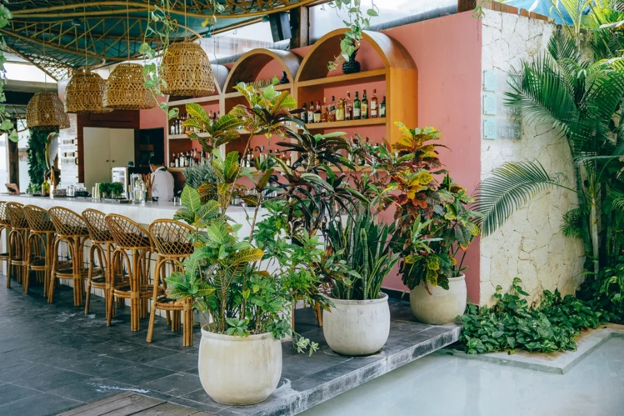 Hotel Mi Amor, a Small Luxury Hotel con day pass