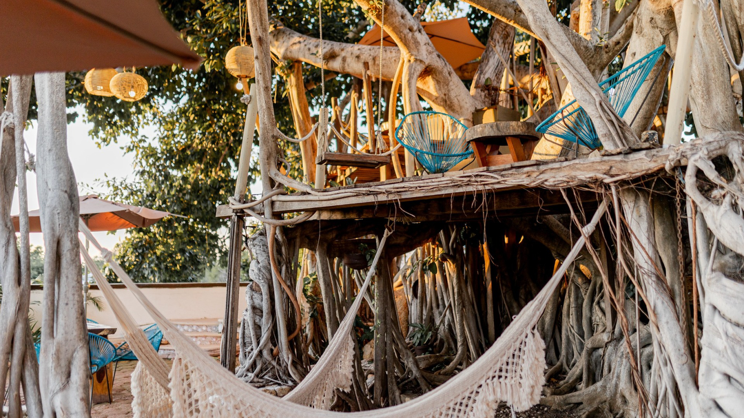 Hotel Hotel Boutique Evana con day pass