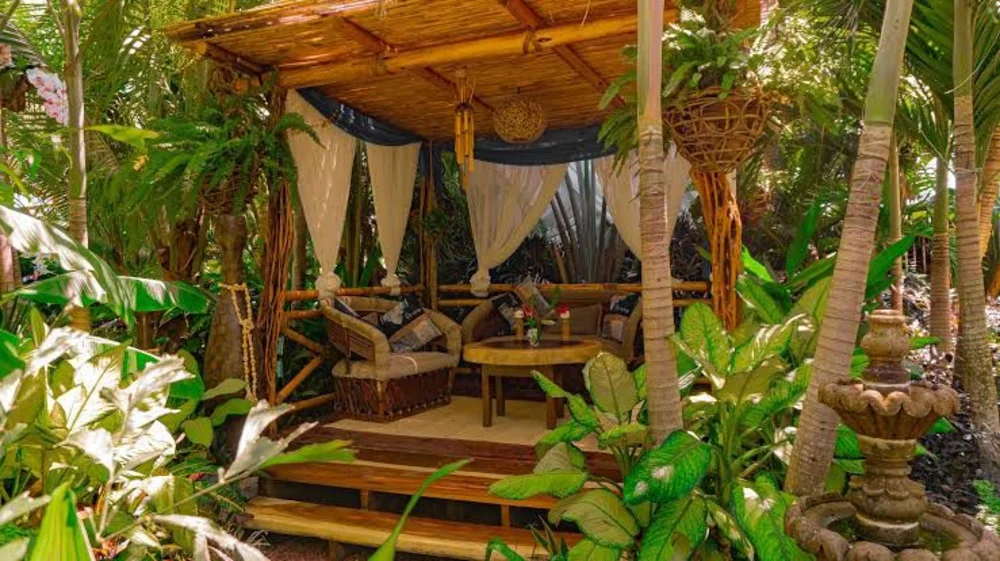 Hotel Muúnek Hotel Boutique Art & Spa con day pass