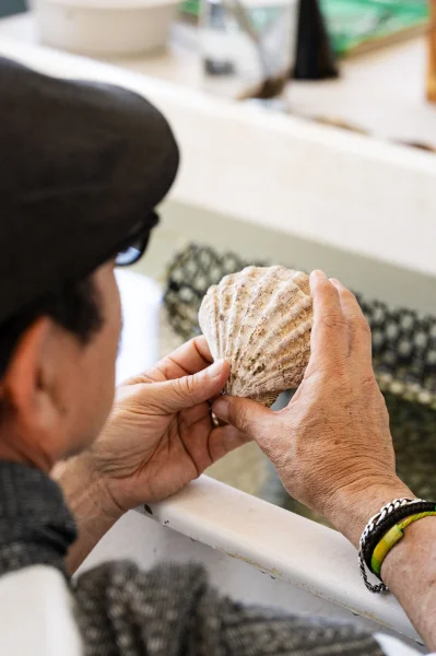 Hotel Tour de las perlas con day pass