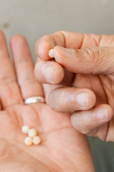 Hotel Tour de las perlas con day pass