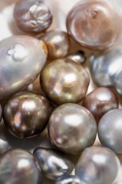 Hotel Tour de las perlas con day pass