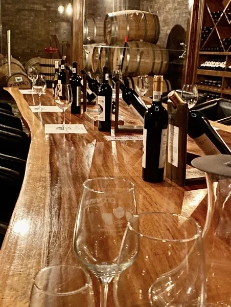 Hotel Cata Sensorial VIP en bodega de barricas con day pass