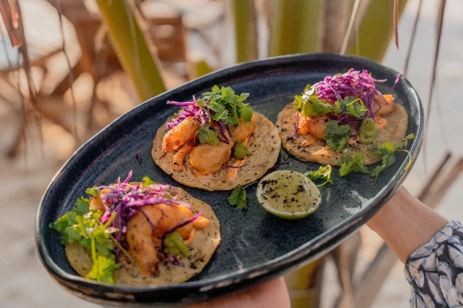 Hotel Tour Privado Celestún Naturaleza con day pass