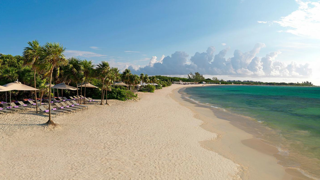 Hotel Paradisus Playa del Carmen Riviera Maya con day pass