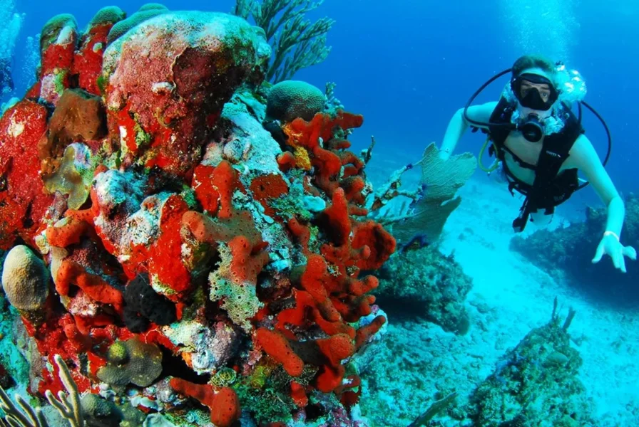 Hotel Beach Break Experiences con day pass