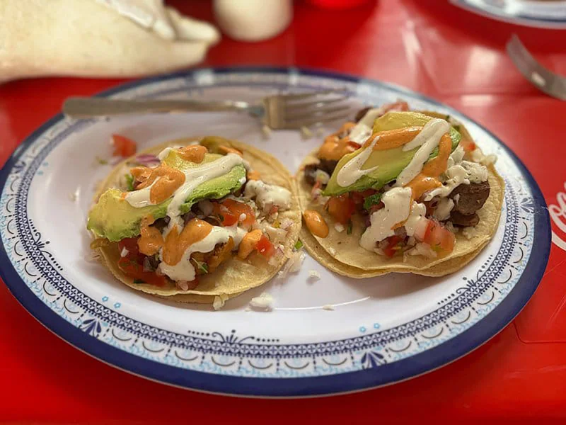 Hotel City & Taco Tour Puerto Morelos con day pass