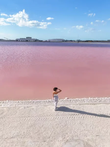 Hotel Las Coloradas -Ruta de la Cosecha Safari Tour con day pass