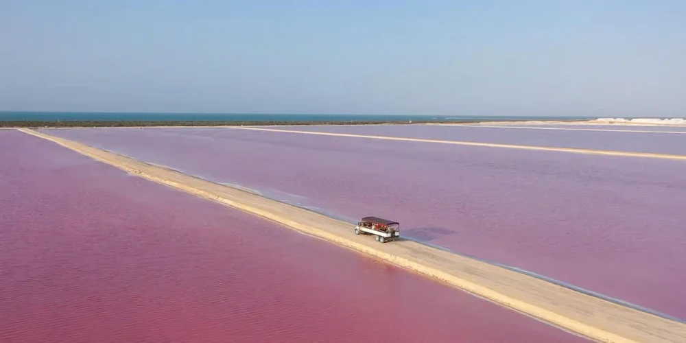 Hotel Las Coloradas -Ruta de la Cosecha Safari Tour con day pass