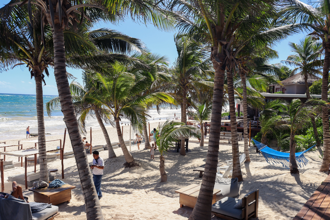 Hotel La Zebra Beach Club con day pass