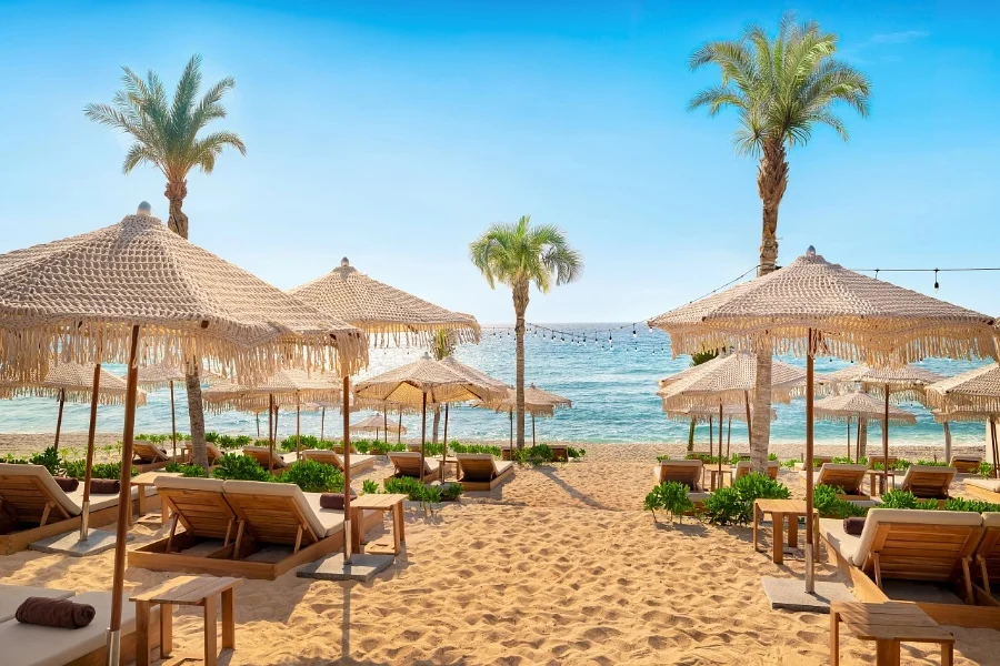 Hotel Ennea Beach Club by Hyatt Vivid Grand Island con day pass