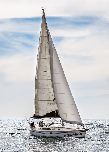 Hotel Navega a bordo del LIBERTY con day pass