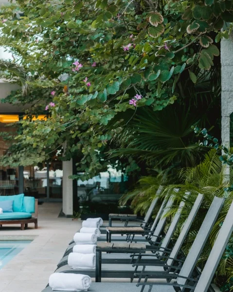 Hotel Hyatt Centric Beach House con day pass